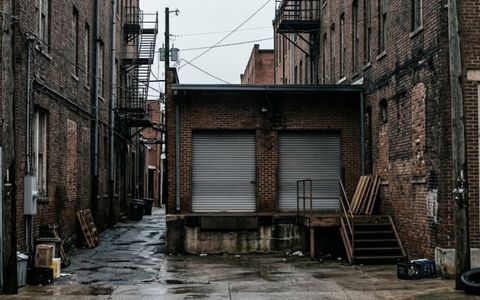 Cherry Street commercial alley in Downtown Macon GA showing Norway rat corridor habitat